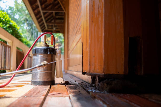 Best Pest Control for Homes  in Stroville, CA